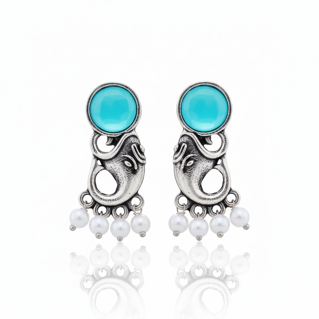 12 Oxidized Designer Stud Earrings Set with Folding Jewelry Box