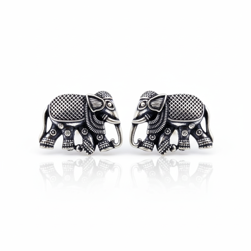 12 Oxidized Designer Stud Earrings Set with Folding Jewelry Box
